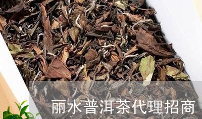 丽水普洱茶代理招商/2023042823158