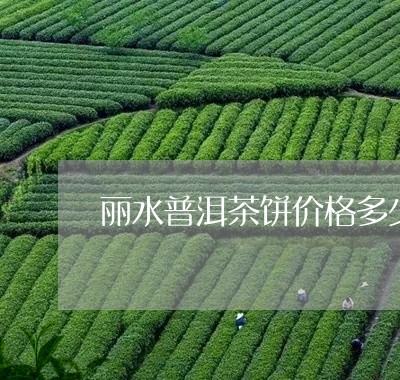 丽水普洱茶饼价格多少钱一斤/2023052860615