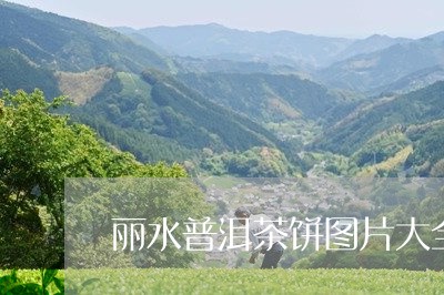 丽水普洱茶饼图片大全及价格/2023082809592