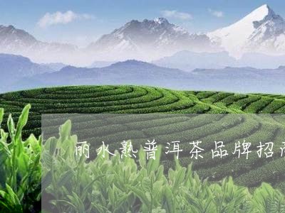 丽水熟普洱茶品牌招商/2023061472726