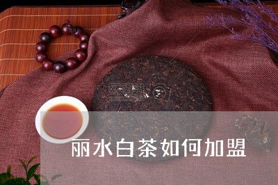 丽水白茶如何加盟/2023061448594