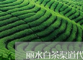 丽水白茶渠道代理/2023061423615