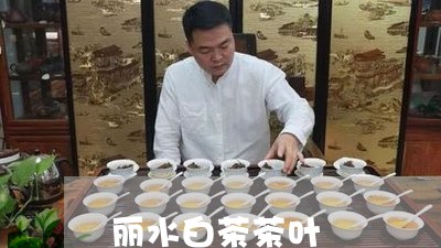 丽水白茶茶叶/2023051241693