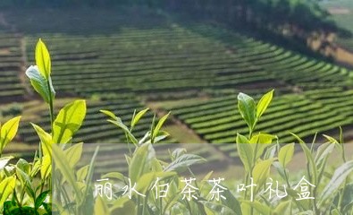 丽水白茶茶叶礼盒/2023061438592