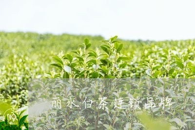 丽水白茶连锁品牌/2023061405160