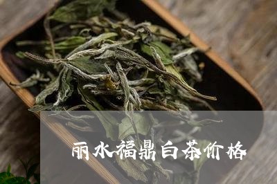 丽水福鼎白茶价格/2023090970693