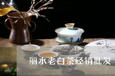 丽水老白茶经销批发/2023081256451