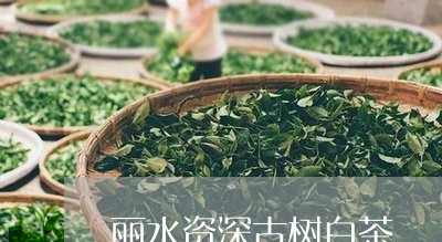 丽水资深古树白茶/2023061464958