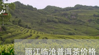 丽江临沧普洱茶价格/2023091471815