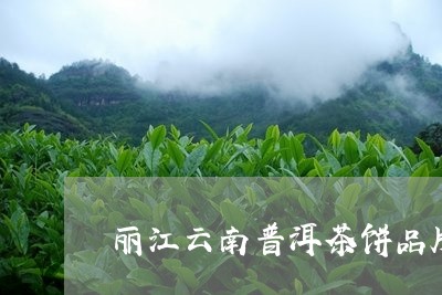 丽江云南普洱茶饼品牌/2023100621816