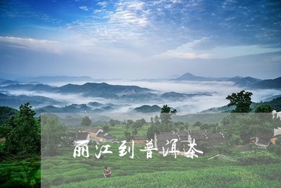 丽江到普洱茶/2023091329369