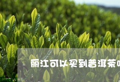 丽江可以买到普洱茶吗/2023080180693