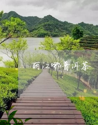 丽江哪普洱茶/2023042870874