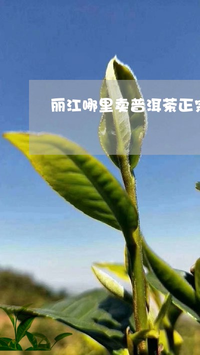 丽江哪里卖普洱茶正宗好/2023082740693