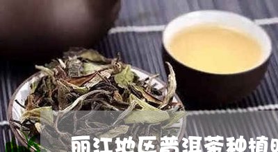 丽江地区普洱茶种植时间/2023120795938