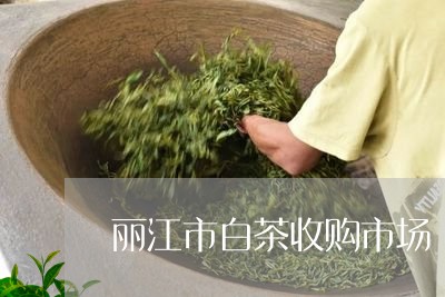 丽江市白茶收购市场/2023121606481