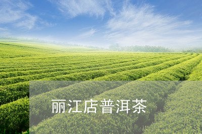 丽江店普洱茶/2023042947212