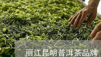 丽江昆明普洱茶品牌/2023071187272