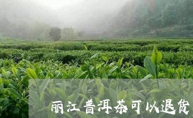 丽江普洱茶可以退货吗/2023080103625