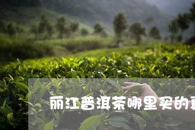 丽江普洱茶哪里买的真/2023062079426