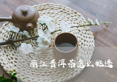 丽江普洱茶怎么挑选/2023120539262