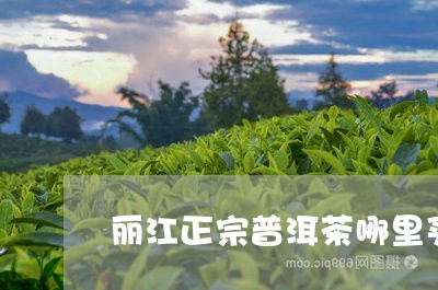 丽江正宗普洱茶哪里买/2023080155049