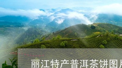 丽江特产普洱茶饼图片大全/2023082855838