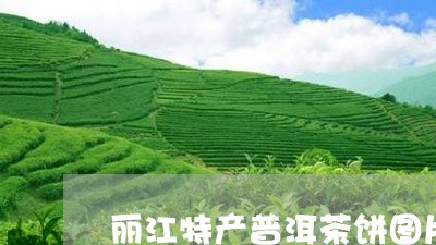 丽江特产普洱茶饼图片大全/2023110548602