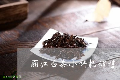 丽江白茶小饼机销售/2023121674159