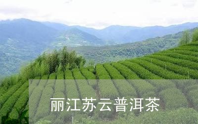 丽江苏云普洱茶/2023110349414