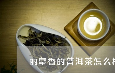 丽皇香的普洱茶怎么样/2023092652813