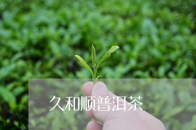 久和顺普洱茶/2023091294838