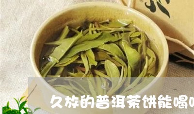 久放的普洱茶饼能喝吗/2023092600513