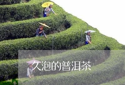 久泡的普洱茶/2023042543766