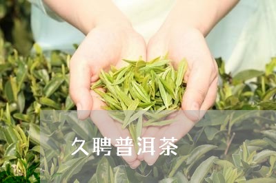 久聘普洱茶/2023090560371