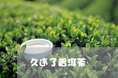 久违了普洱茶/2023042872173