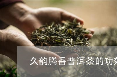 久韵腾香普洱茶的功效/2023072449614