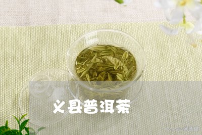 义县普洱茶/2023090551626