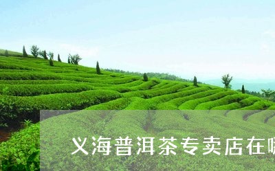 义海普洱茶专卖店在哪/2023062892816