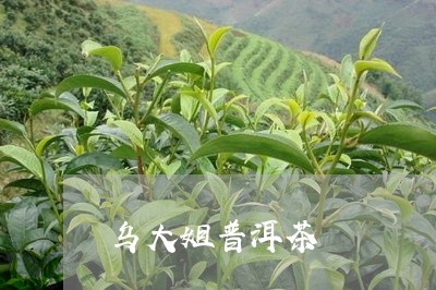 乌大姐普洱茶/2023042629695