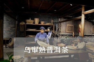 乌审熟普洱茶/2023042777334