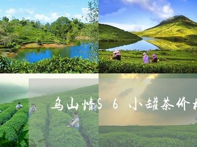 乌山情S6小罐茶价格/2023071571702