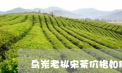 乌岽老枞宋茶价格如何/2023092147260