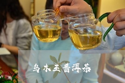 乌木王普洱茶/2023042997921