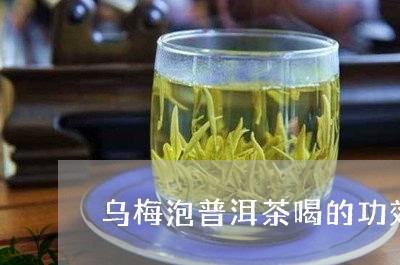 乌梅泡普洱茶喝的功效/2023072447158