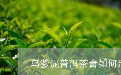 乌爹泥普洱茶膏如何泡/2023092827282