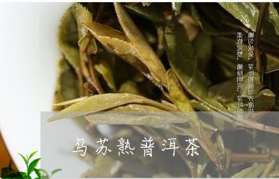 乌苏熟普洱茶/2023042614874