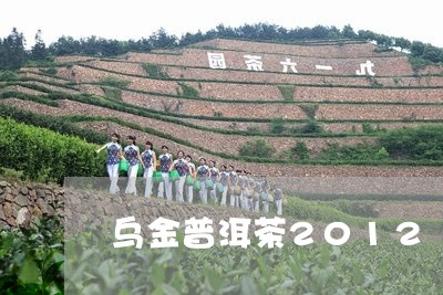 乌金普洱茶2012/2023091452694