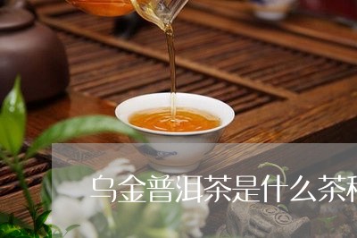 乌金普洱茶是什么茶种类/2023102480683