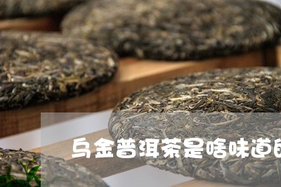 乌金普洱茶是啥味道的茶/2023110513037